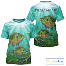 Load image into Gallery viewer, Custom Bluegill Fishing Jerseys, Bluegill Tournament Fishing T-Shirt For Team NBT860