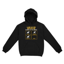 Load image into Gallery viewer, Labrador Retriever Standard Hoodie | Funny Guide to Training dog - FSD2399D08